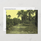 Caladesi Island Dunedin Fl Postcard Postkarte (Vorne/Hinten)