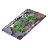 Caladesi Island Fl Harp Tree Premium Flexi Magnet (Linke Seite)