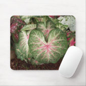 Caladium-Galaxie Mousepad (Mit Mouse)