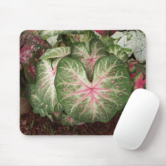 Caladium-Galaxie Mousepad (Mit Mouse)