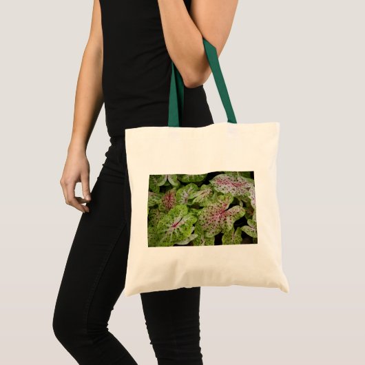 Caladium Gingerland Tasche (Vorderseite (Produkt))