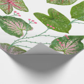 Caladium Muster für Pflanze Geschenkpapier (Ecke)
