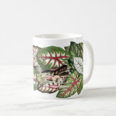 Caladium verlässt Tasse (VorderseiteRechts)