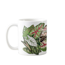 Caladium verlässt Tasse