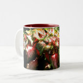 CALADIUM ZWEIFARBIGE TASSE (Vorderseite Links)