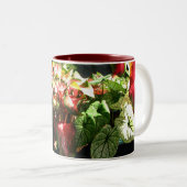 CALADIUM ZWEIFARBIGE TASSE (VorderseiteRechts)