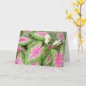 Caladiums Karte (Gelbe Blume)