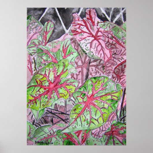 caladiums_Pflanze_painting Poster (Vorne)