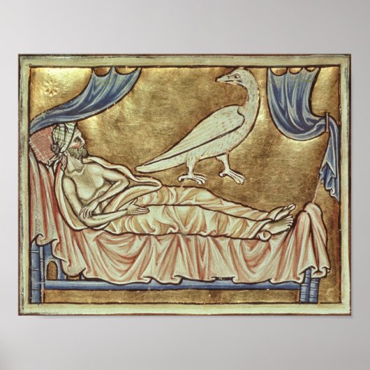 Caladrius-Vogel, der als vorhersagend gilt Poster (Vorne)