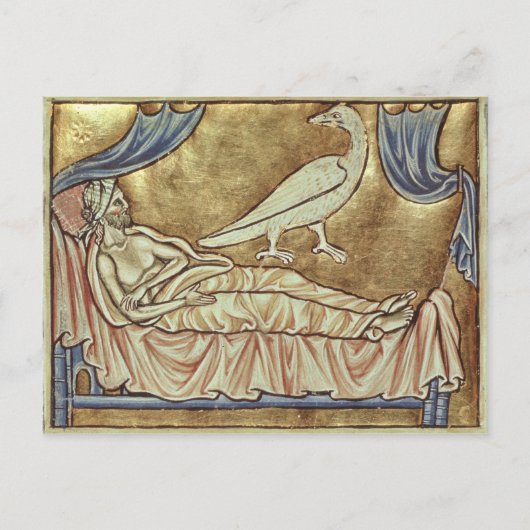 Caladrius-Vogel, der als vorhersagend gilt Postkarte (Vorderseite)