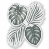 Calathea-Blatt Aufkleber (Vorderseite)
