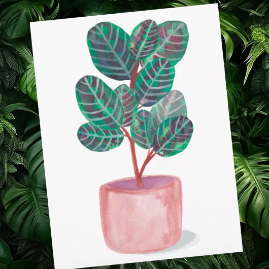 Calathea Gebet Pflanze Wasserfarbe Postkarte