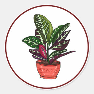 Calathea Hand Drawn Houseplant Kunst Runder Aufkleber