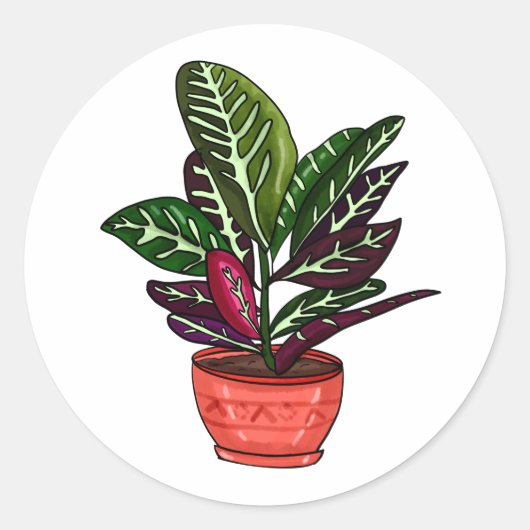 Calathea Hand Drawn Houseplant Kunst Runder Aufkleber (Vorderseite)