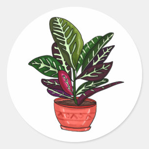 Calathea Hand Drawn Houseplant Kunst Runder Aufkleber