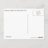 Calaveras Big Trees Staat Park, CA. Postkarte (Rückseite)