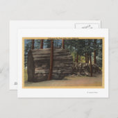 Calaveras Big Trees Staat Park Postkarte (Vorne/Hinten)