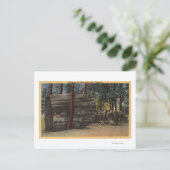 Calaveras Big Trees Staat Park Postkarte (Stehend Vorderseite)