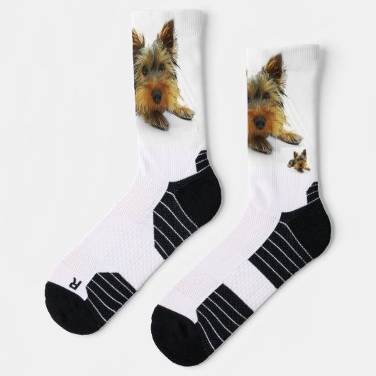 calcetines feos perro socken (Links)