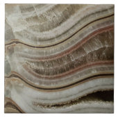 Calciumammonit Fliese (Vorderseite)