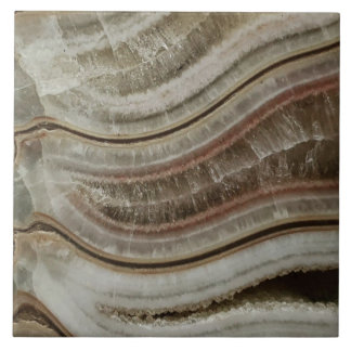 Calciumammonit Fliese