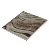 Calciumammonit Fliese (Seite)