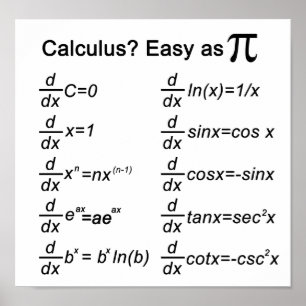 Calculus Basic Print Poster