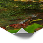 Caldeira Velha, Azoren Poster (Ecke)