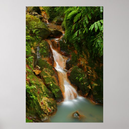 Caldeira Velha, Azoren Poster (Vorne)