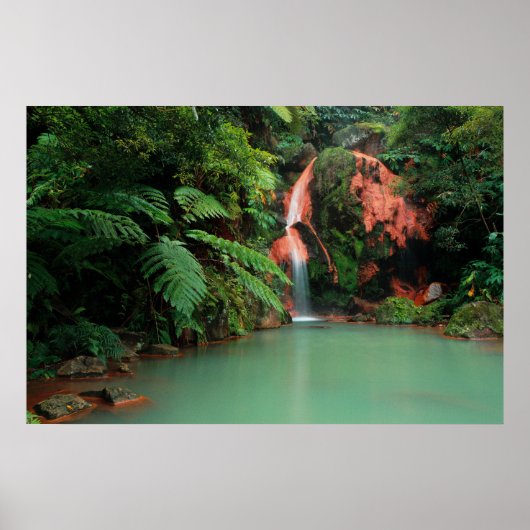 Caldeira Velha Park, Azoren Poster (Vorne)