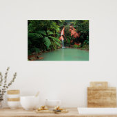 Caldeira Velha Park, Azoren Poster (Küche)