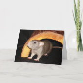 Caleb Card Dankeskarte (Vorderseite)