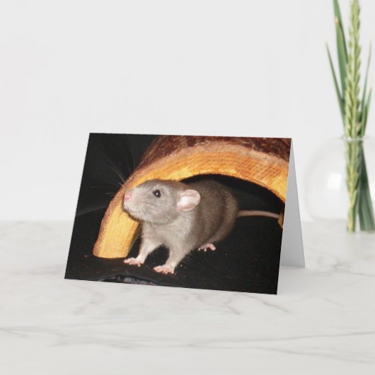 Caleb Card Dankeskarte (Vorderseite)