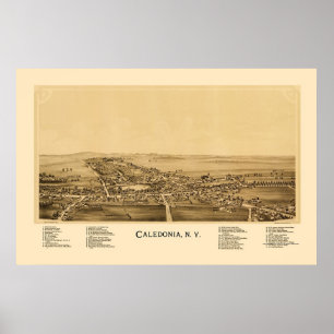 Caledonia, NY Panoramablick - 1892 Poster