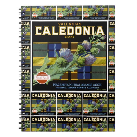 Caledonia Orange Label Multiprint Notizblock (Vorderseite)