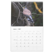 Calendar 2026 Scottish Wildlife  Kalender (Mär 2027)