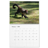 Calendar Affen 2023 Kalender (Feb 2026)