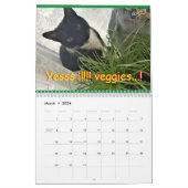 Calendar Cat Roxy Kalender (Mär 2026)