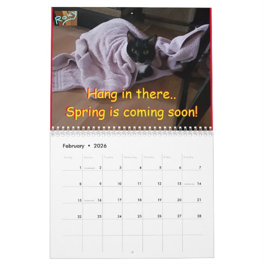 Calendar Cat Roxy Kalender (Feb 2026)