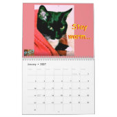 Calendar Cat Roxy Kalender (Jan 2027)