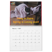 Calendar Cat Roxy Kalender (Feb 2027)