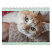 Calendar Englisch und USA Niedlich Schöne Katzen Kalender (Titelbild)