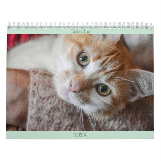 Calendar Englisch und USA Niedlich Schöne Katzen Kalender (Titelbild)