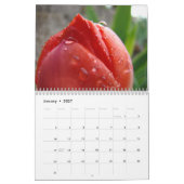 CALENDAR - Farben der RED CALENDARS Blumenbäume Kalender (Jan 2027)