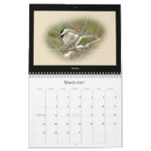 Calendar Favorite Hinterhofvögel #1 Kalender (Mär 2027)