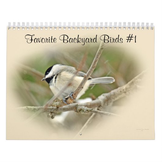 Calendar Favorite Hinterhofvögel #1 Kalender (Titelbild)