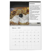 Calendar Griechische Rezepte Kalender (Feb 2027)