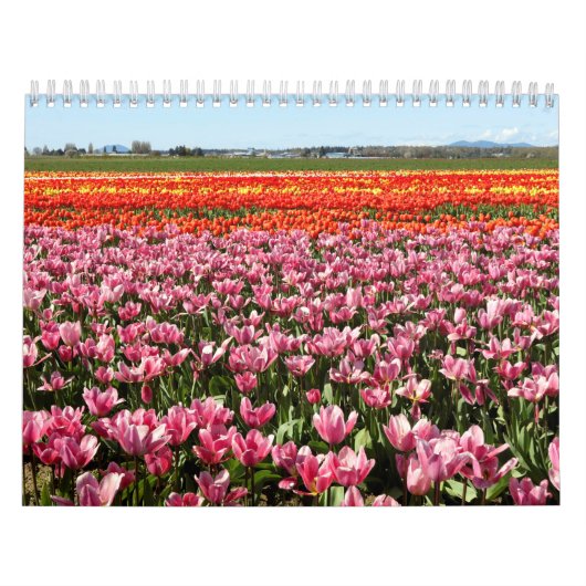 Calendar Kalender (Titelbild)