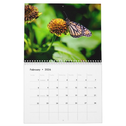 Calendar Kalender (Feb 2026)