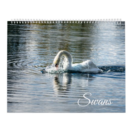 Calendar Kalender (Titelbild)